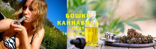 гашик Корсаков