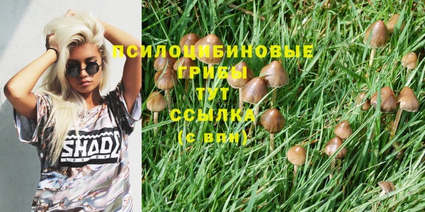 дживик Абдулино