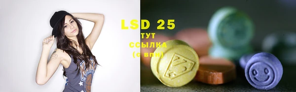 дживик Абинск