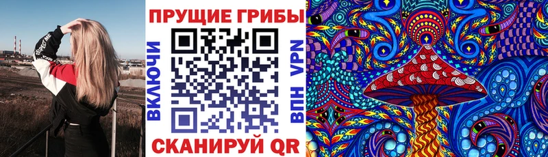 Галлюциногенные грибы мицелий  Абинск 