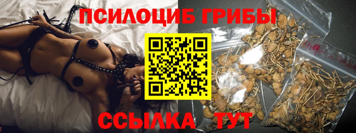 Псилоцибиновые грибы Psilocybe  Галлюциногенные грибы прущие грибы  Вход с VPN  наркошоп  Абинск 